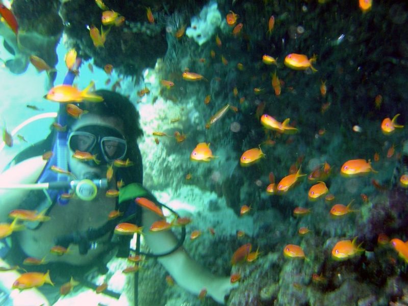 Hôtel Dunas de Sal 4* pas cher photo 11