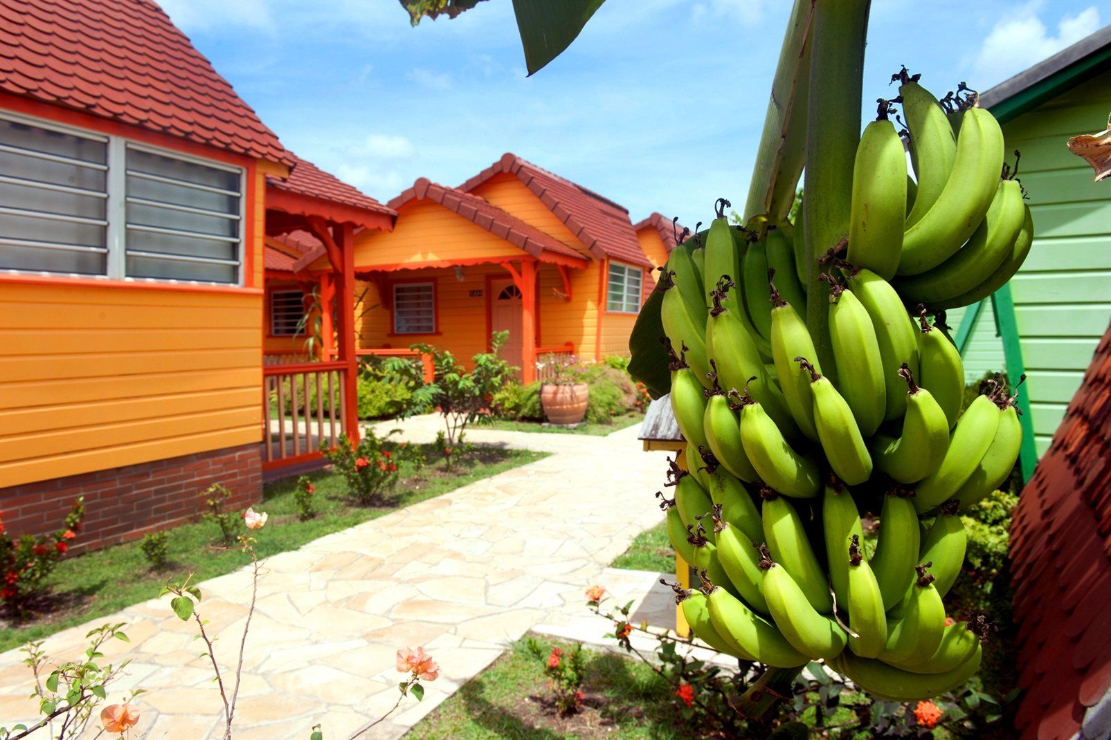 Hôtel Bambou 3* Culture Créole pas cher photo 9