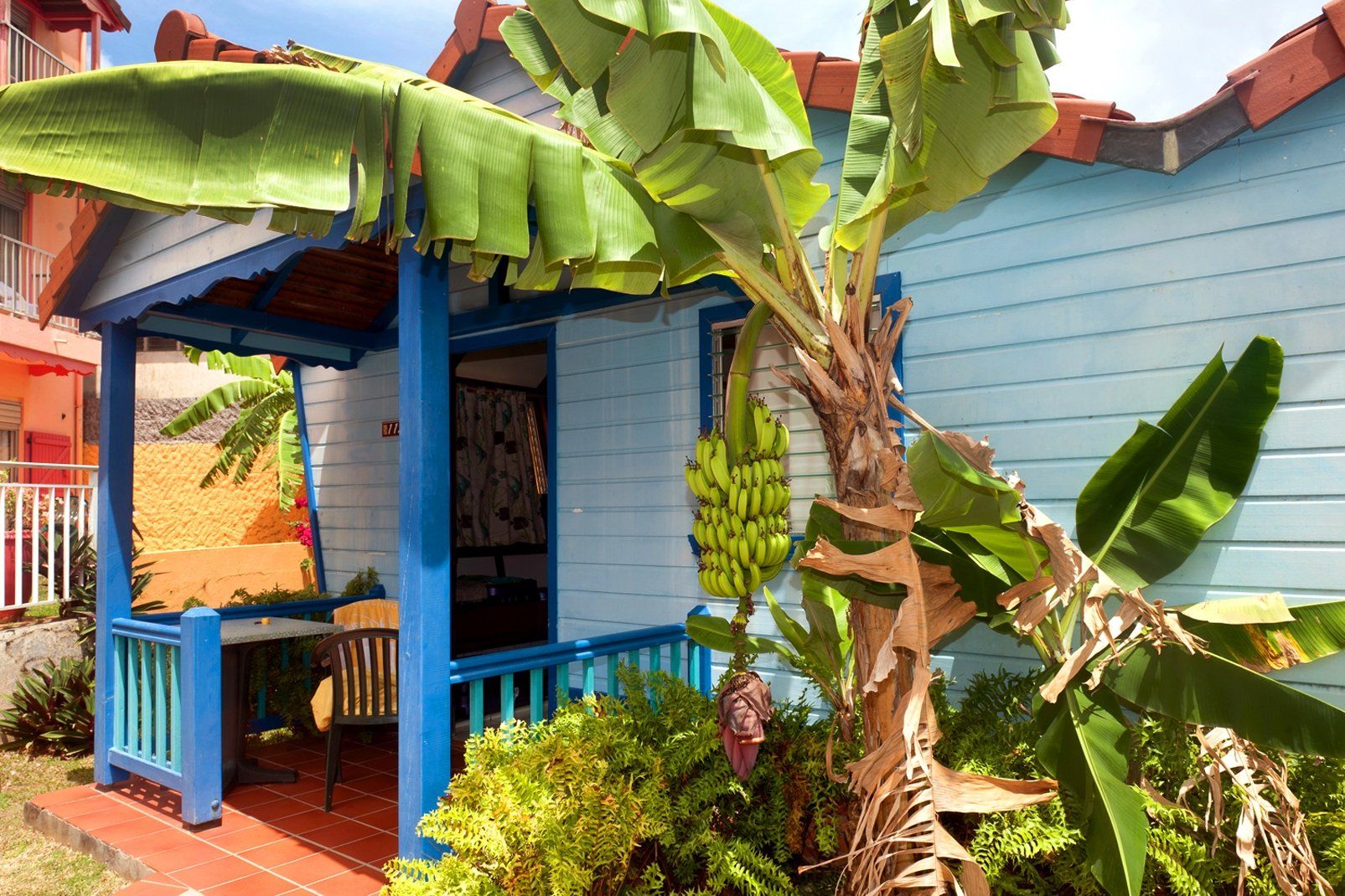 Hôtel Bambou 3* Culture Créole pas cher photo 19