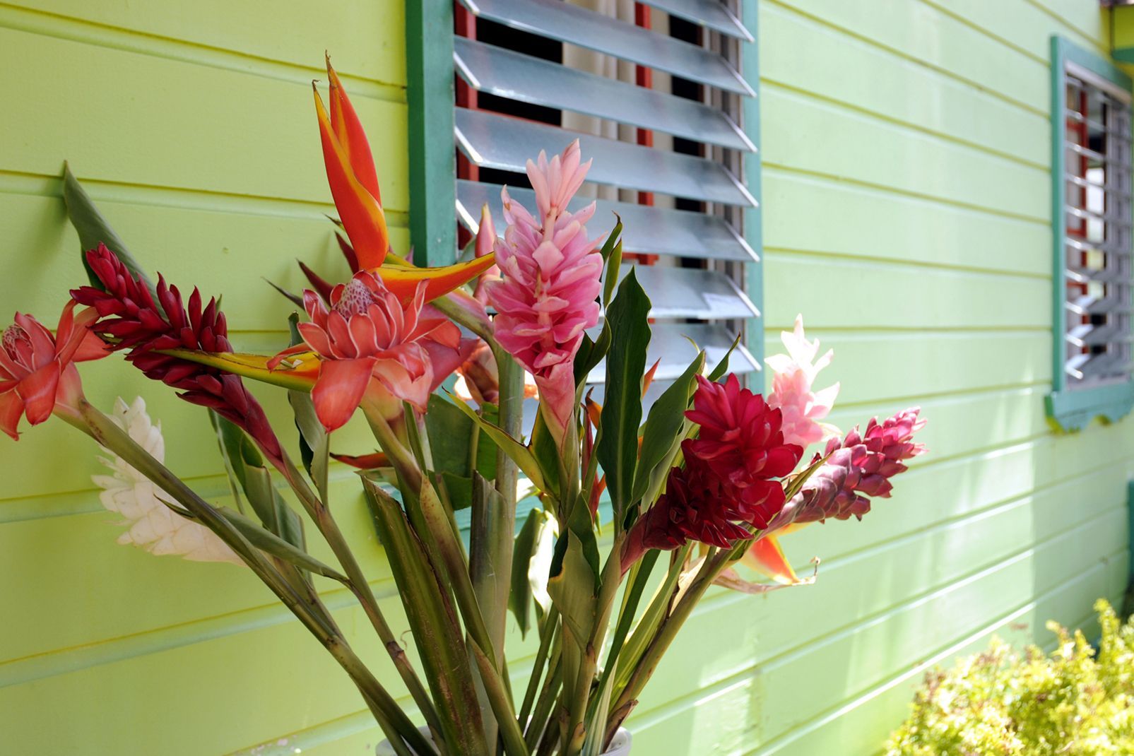 Hôtel Bambou 3* Culture Créole pas cher photo 56