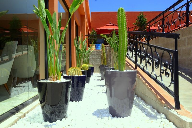 Kappa City Hôtel Medina Gardens 4* pas cher photo 13
