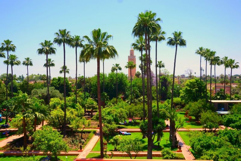 Kappa City Hôtel Medina Gardens 4* pas cher photo 14
