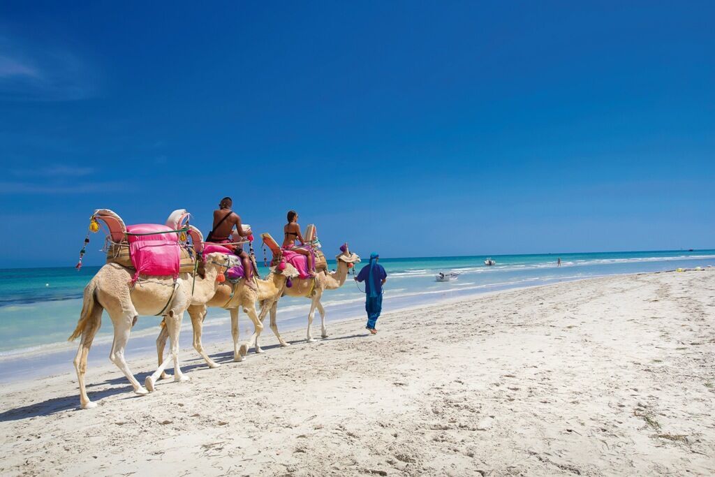 Hôtel Naya Club Djerba Plaza 4* sup pas cher photo 12