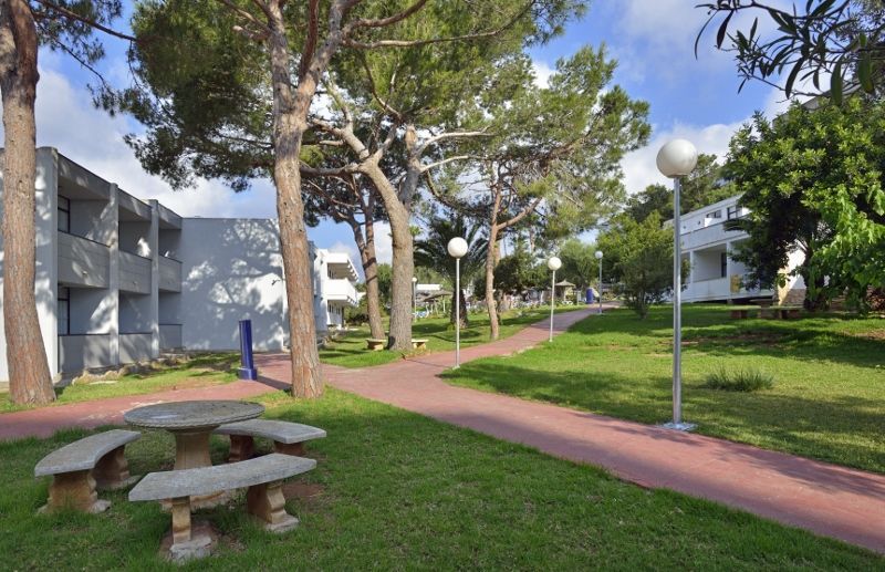 Hôtel Aluasun Cala Antena 3* pas cher photo 4