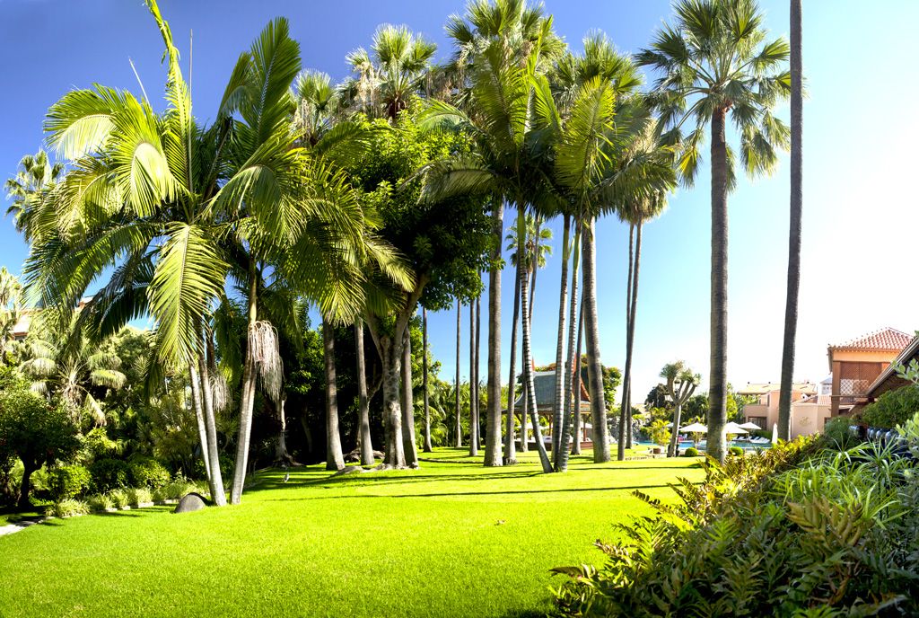 Hôtel Botánico and The Oriental Spa Garden 5* pas cher photo 7