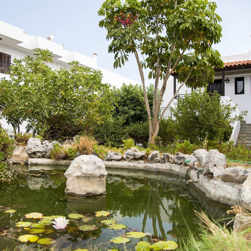 Hôtel Horizon Beach 4* pas cher photo 11