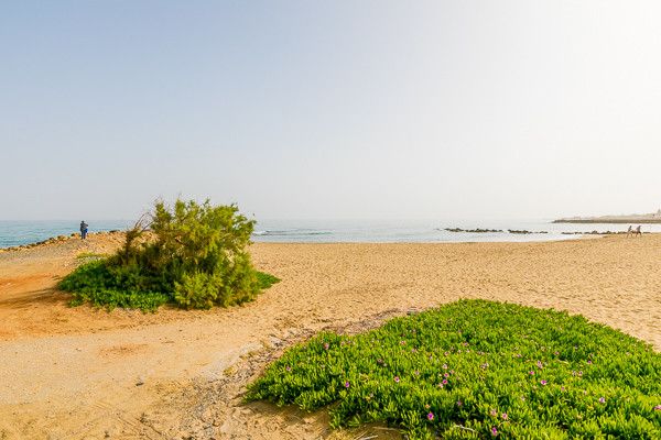 Hôtel Club Jumbo Themis Beach 4* pas cher photo 47