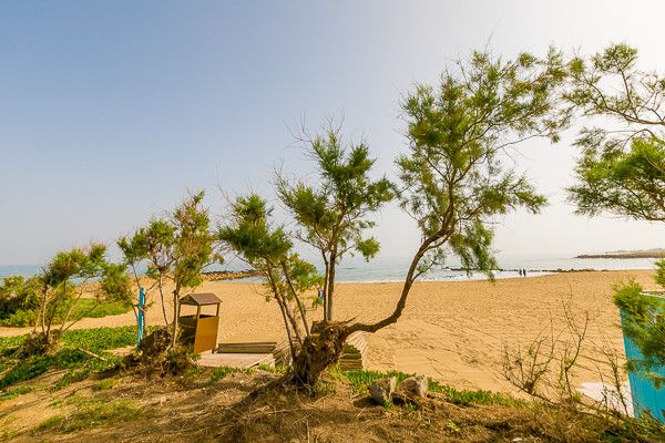 Hôtel Club Jumbo Themis Beach 4* pas cher photo 52