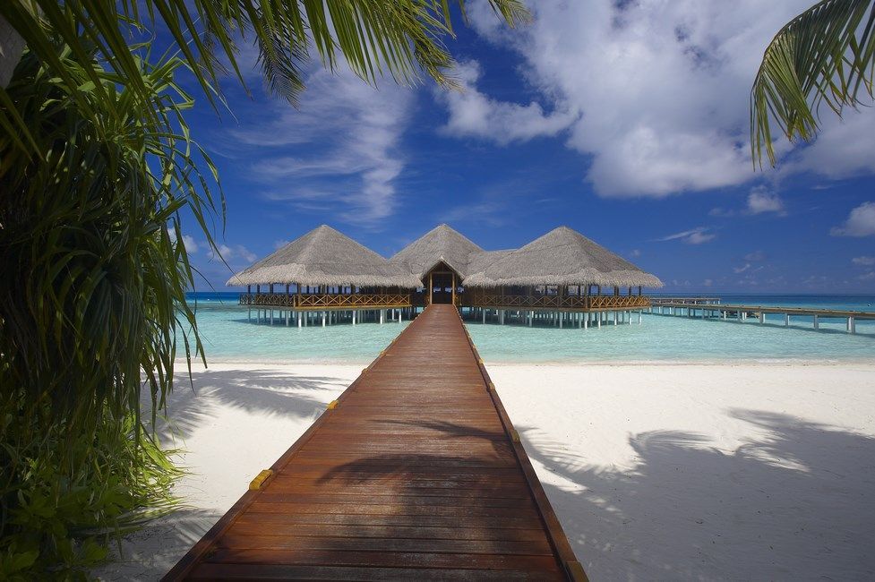 Hôtel Medhufushi Island 5* pas cher photo 16