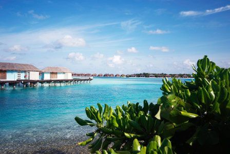 Hôtel Dhonveli Island 4* Sup pas cher photo 6