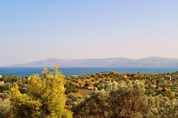 Hôtel Club Jumbo Eretria & Spa Resort 4* pas cher photo 35