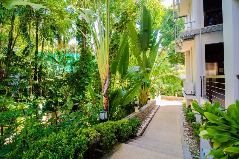 Hôtel Orchidacea Resort Kata Beach 4* pas cher photo 6