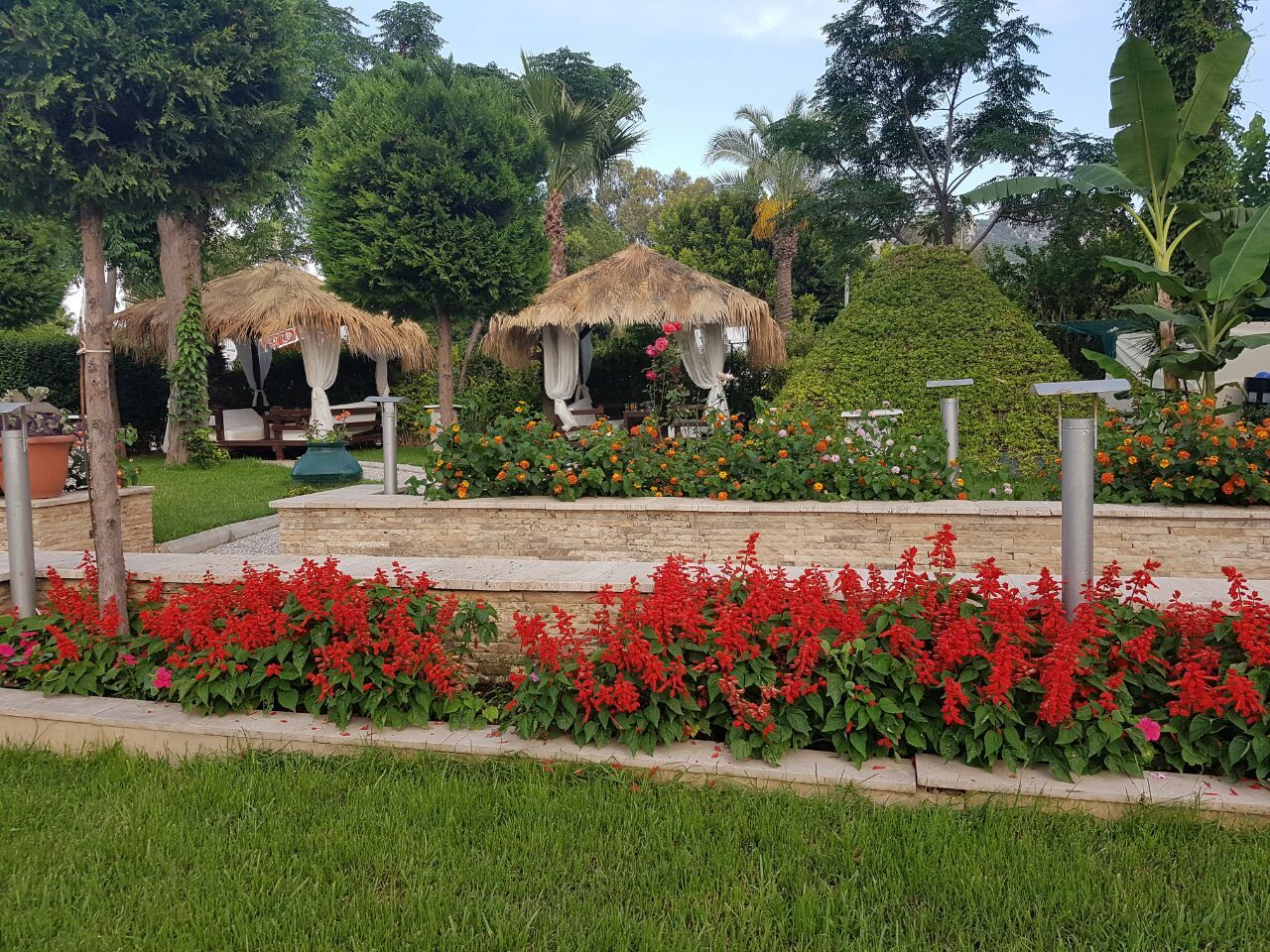 Hôtel L'Ancora Beach 4* pas cher photo 14