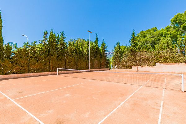 Hôtel Mar Hôtels Paguera et Spa 4* pas cher photo 23