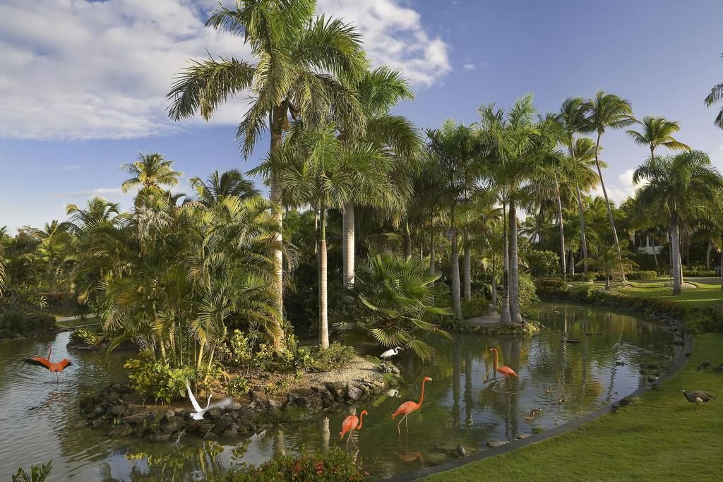 Hôtel Melia Caribe Beach Resort 5* pas cher photo 16