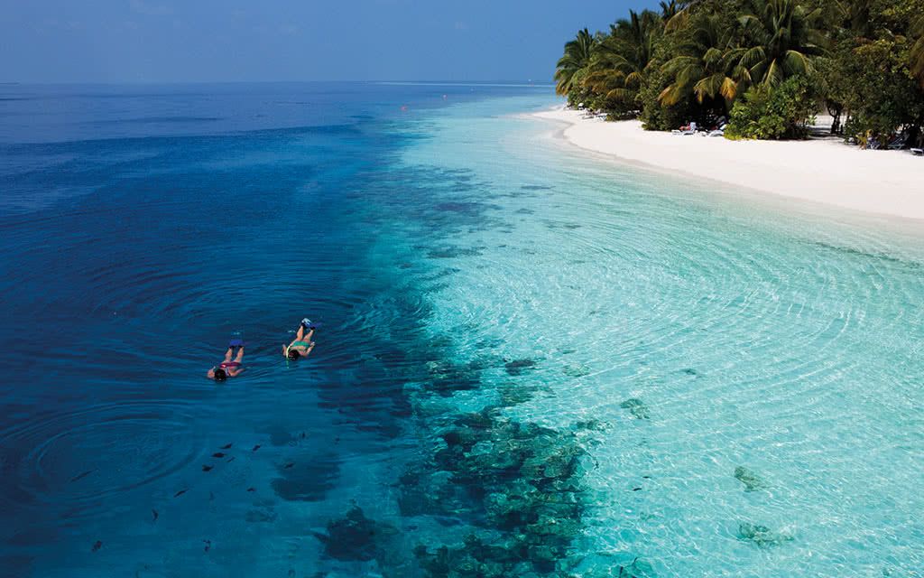 Hôtel Vilamendhoo Island Resort et Spa 4* pas cher photo 6