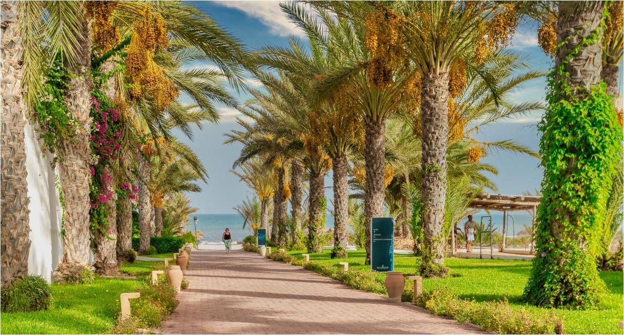 Hôtel Naya Club Djerba Palm Azur 4* pas cher photo 7