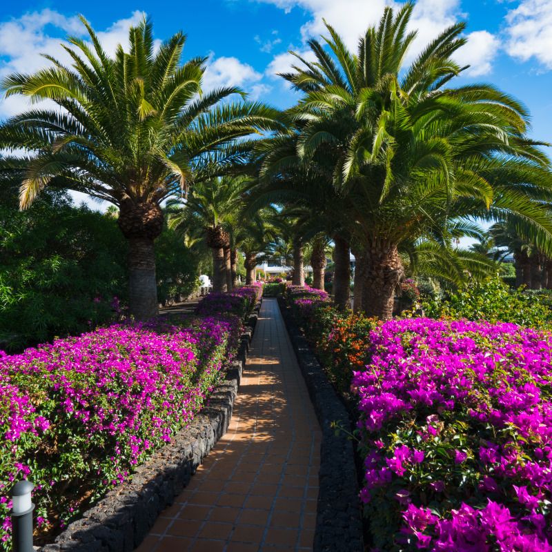 Hôtel Mondi Club Relaxia Olivina Lanzarote 4* pas cher photo 7