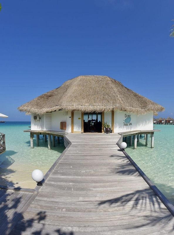 Hôtel Safari Island Resort et Spa 4* pas cher photo 11