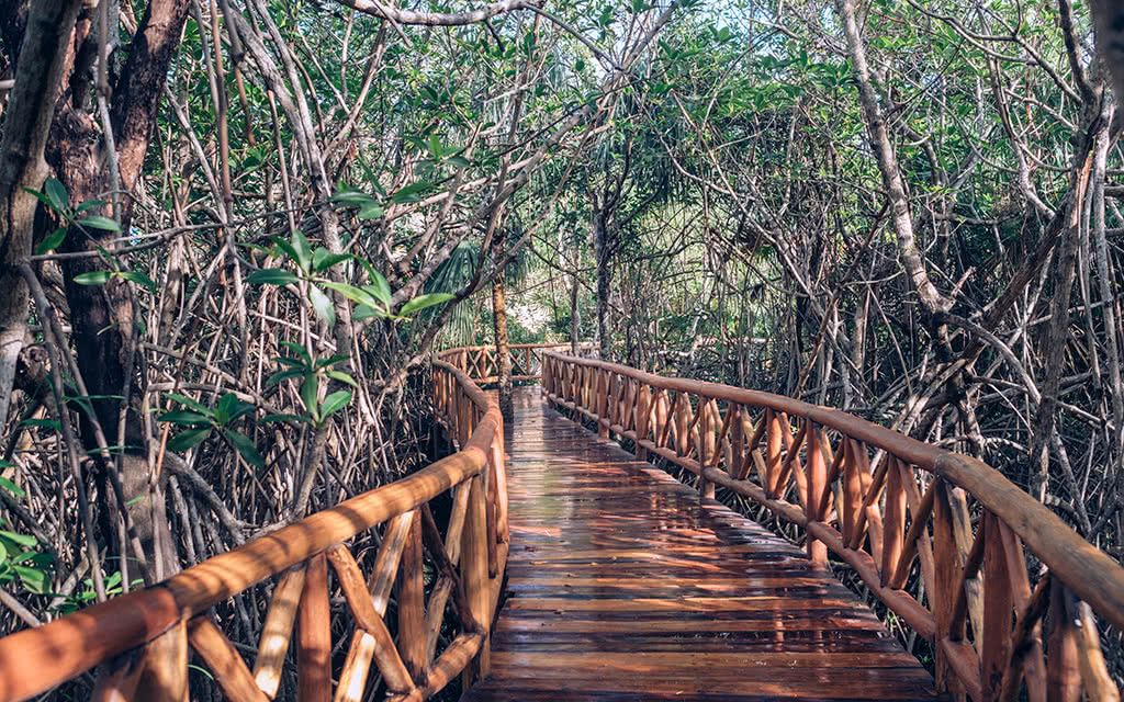 Hôtel Iberostar Selection Paraíso Lindo 5* pas cher photo 2