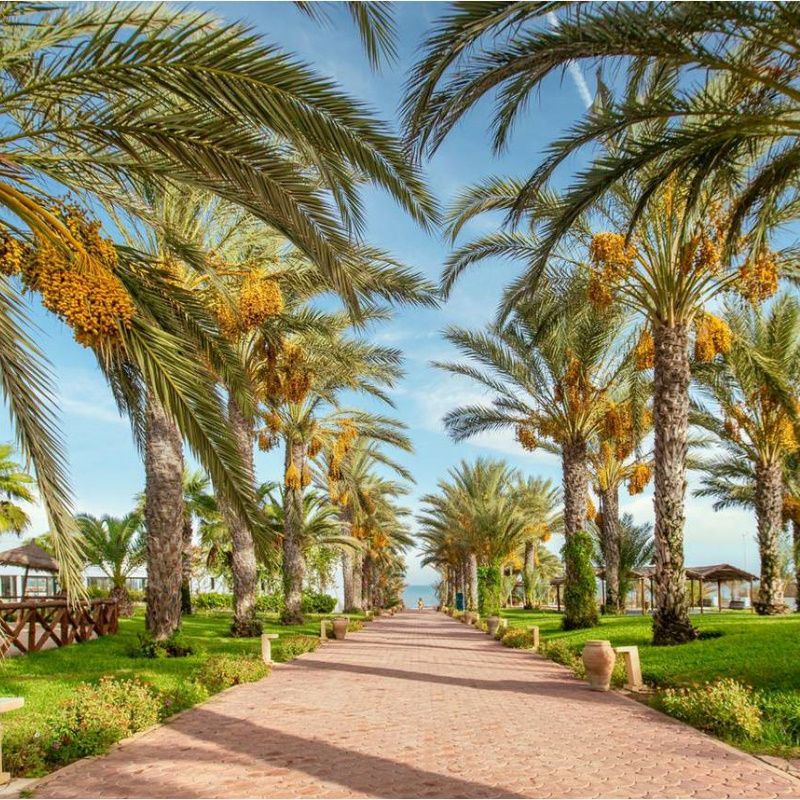 Hôtel Palm Azur 4* pas cher photo 6