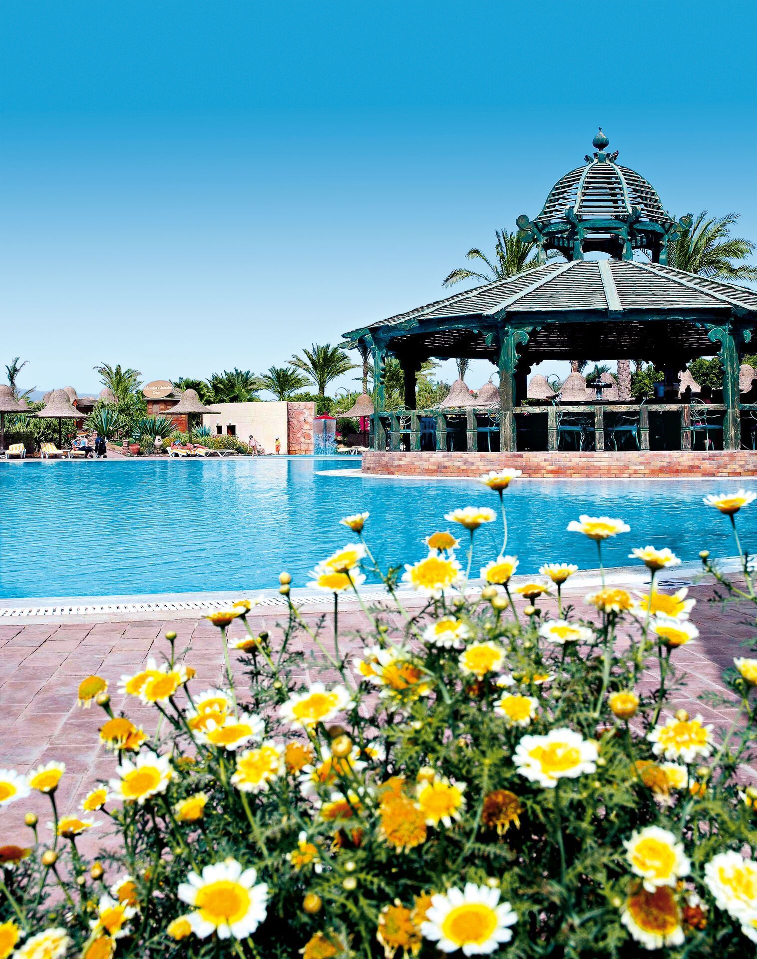 Hôtel Parrotel Aqua Park Resort 4* pas cher photo 3