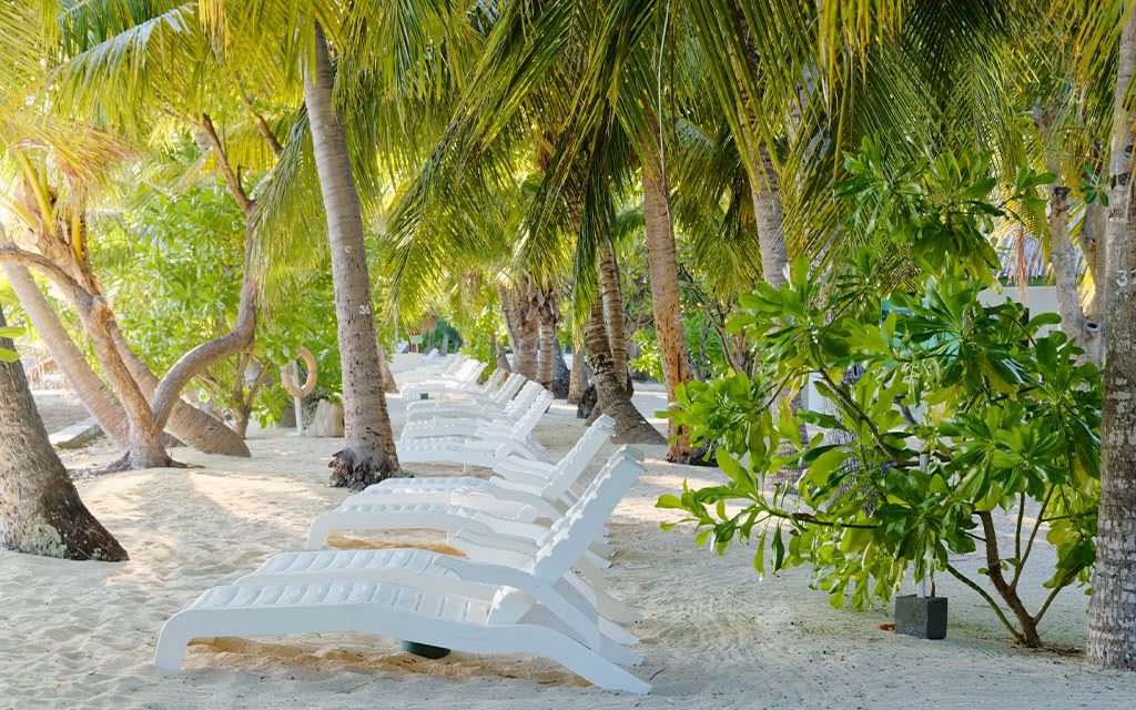 Hôtel Equator Village Maldives 3* pas cher photo 10