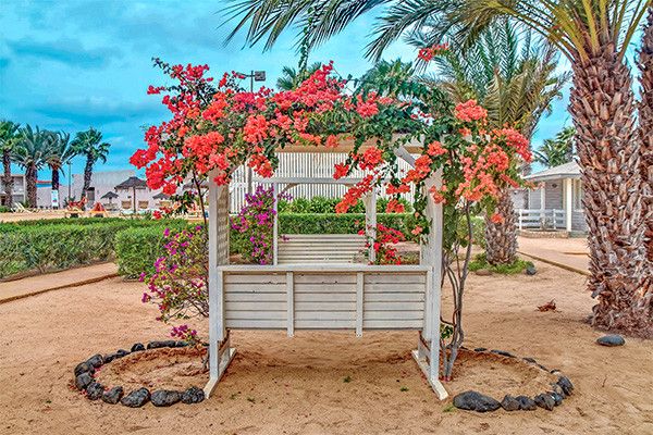 Hôtel Club Framissima Oasis Belorizonte 4* pas cher