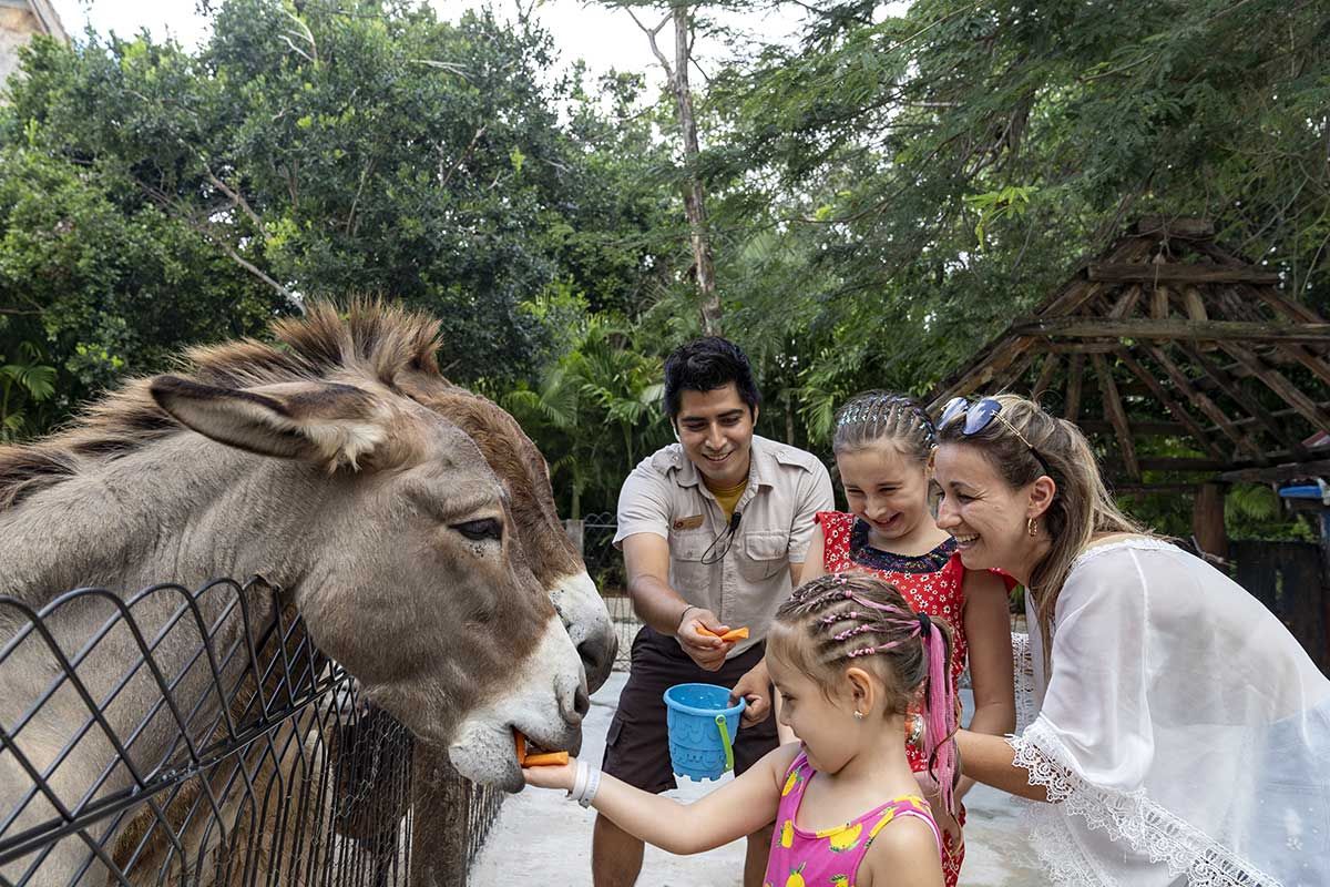 Club Lookéa Hôtel Sandos Caracol Eco Resort 4* pas cher photo 53