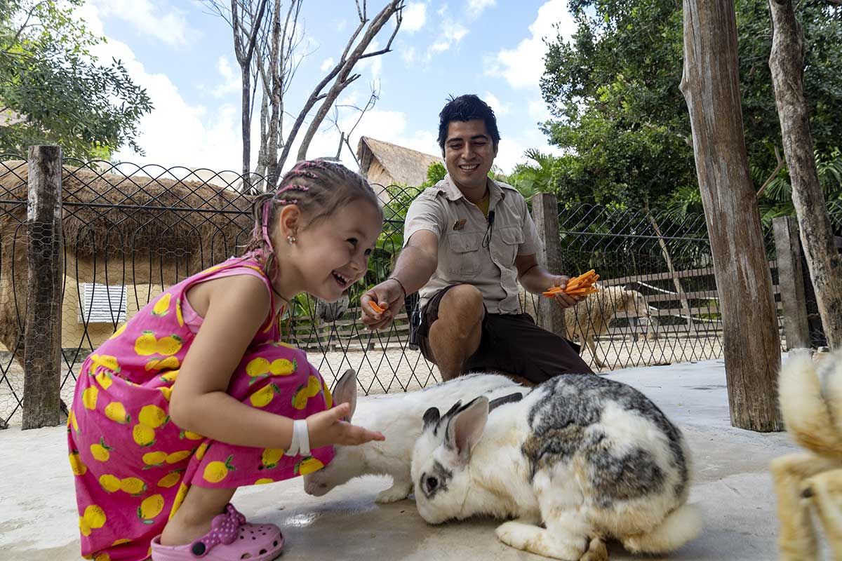 Club Lookéa Hôtel Sandos Caracol Eco Resort 4* pas cher photo 54