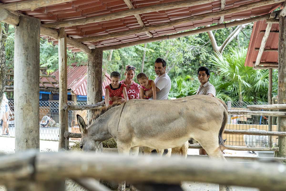 Club Lookéa Hôtel Sandos Caracol Eco Resort 4* pas cher photo 55