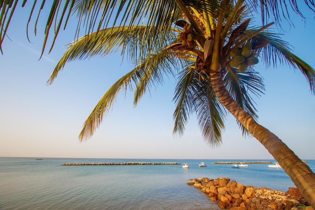 Hôtel Riu Baobab 5* pas cher