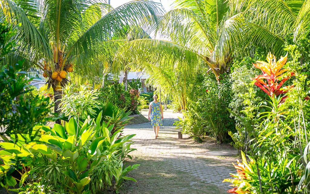 Les Lauriers Eco Hôtel et Restaurant 3* pas cher photo 12