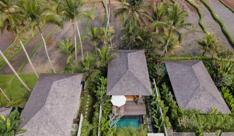 Hôtel Kappa Senses Ubud 5* pas cher photo 17