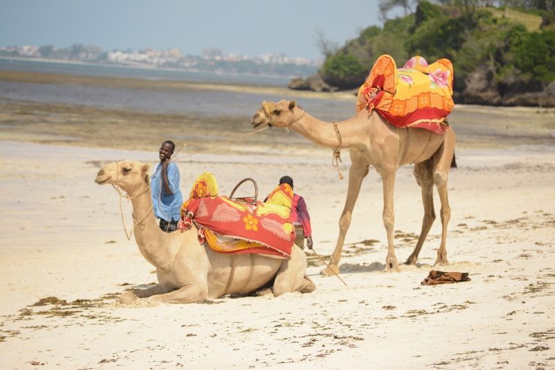 Hôtel Pridelnn Flamingo Beach Resort et Spa 4* pas cher photo 7