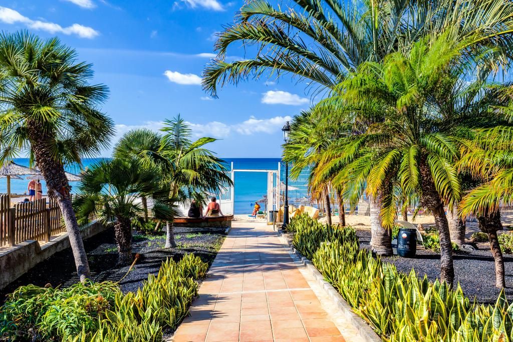 Hôtel SBH Costa Calma Beach Resort 4* pas cher photo 12