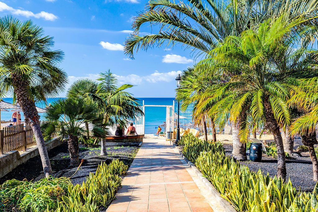 Hôtel SBH Costa Calma Beach Resort 4* pas cher photo 12