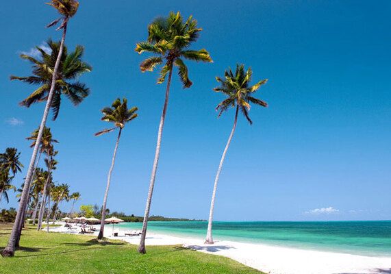 Hôtel The Residence Zanzibar 5* pas cher photo 10