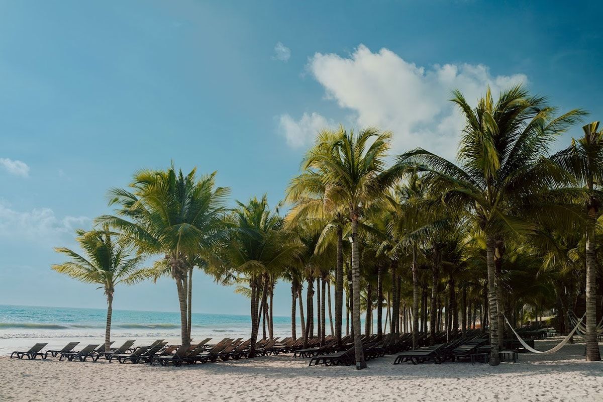 Hôtel Club Marmara Catalonia Playa Maroma 5* pas cher photo 10