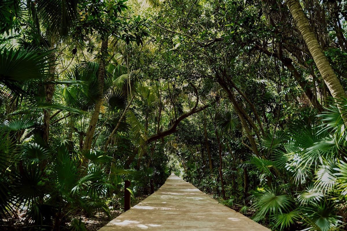 Club Marmara Hôtel Catalonia Playa Maroma 5* pas cher photo 60