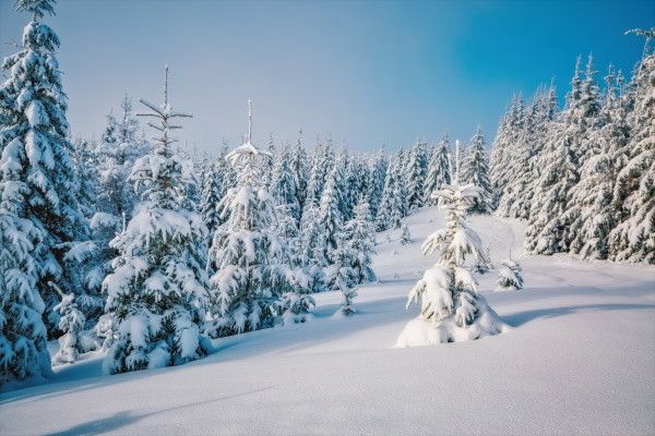 Hôtel Club Jumbo Tankavaara Gold Village 4* pas cher photo 19