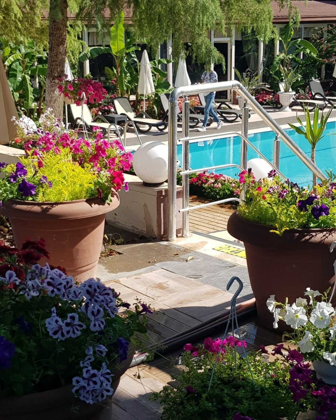 Hôtel Rose Resort 4* pas cher photo 18