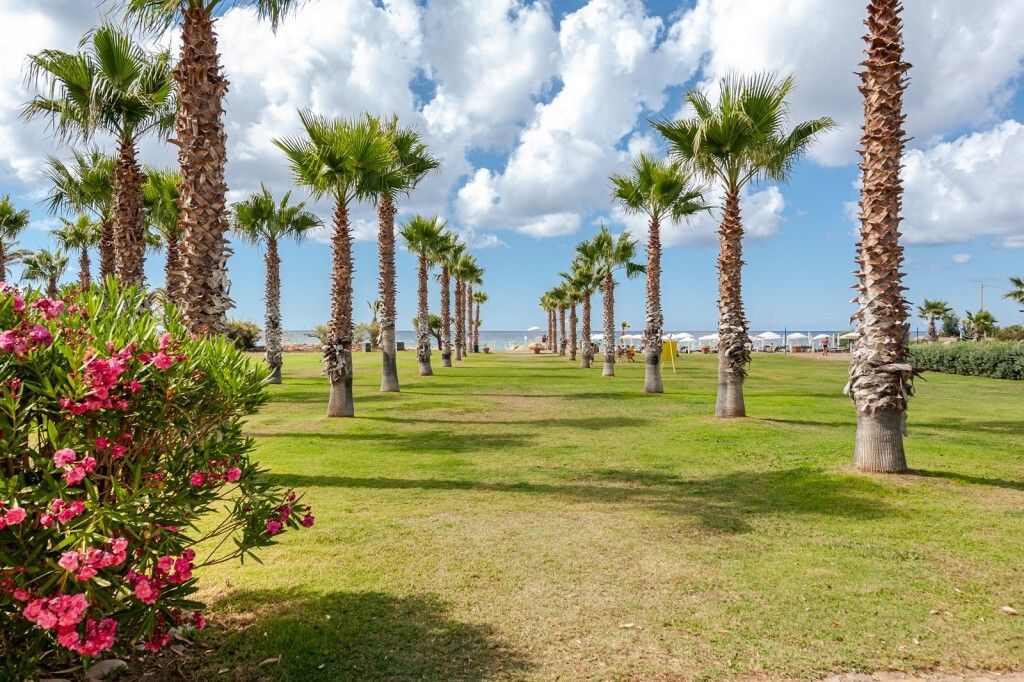 Hôtel Acacia Resort 4* pas cher photo 14