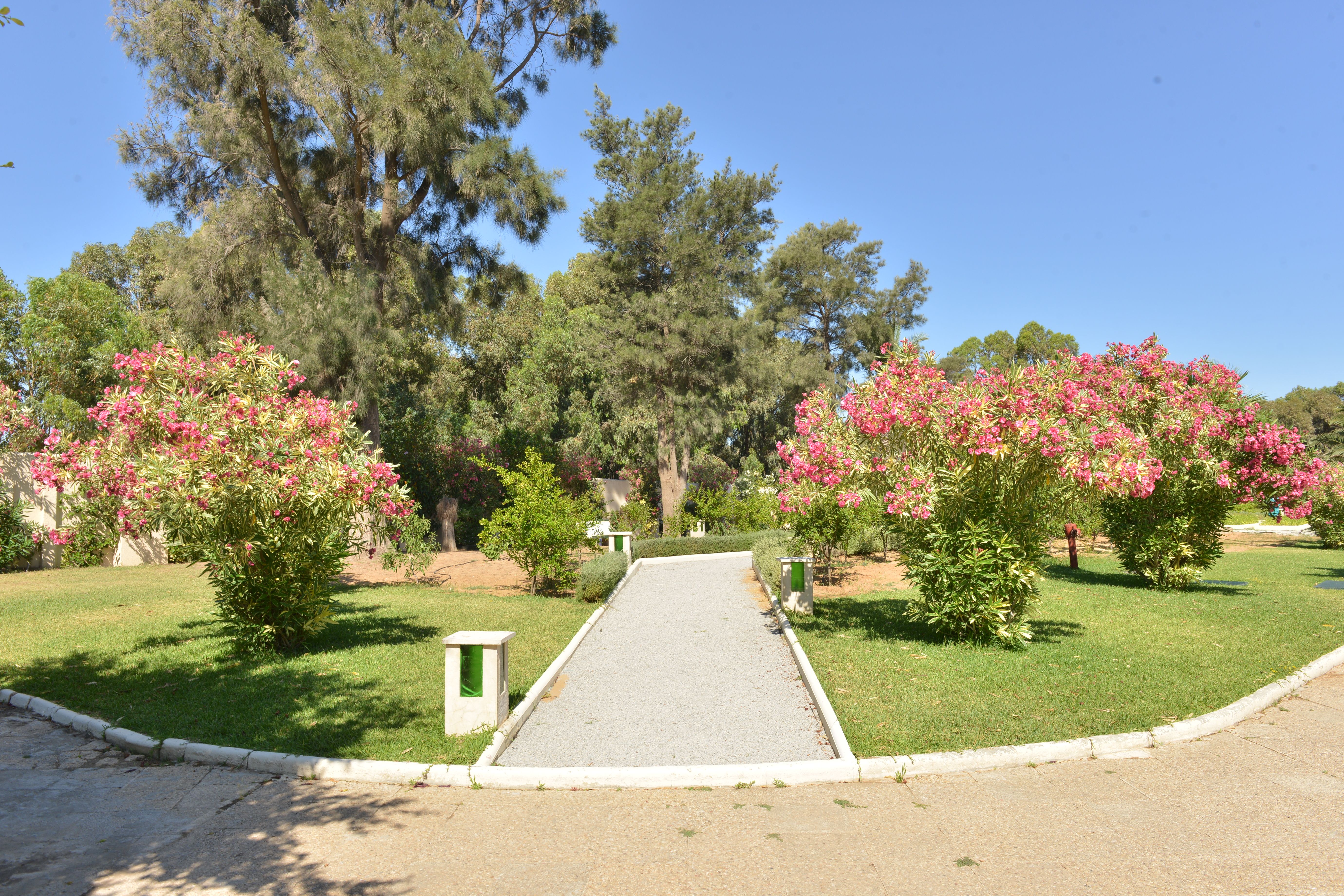Hôtel Le Royal Hammamet 5* pas cher photo 21