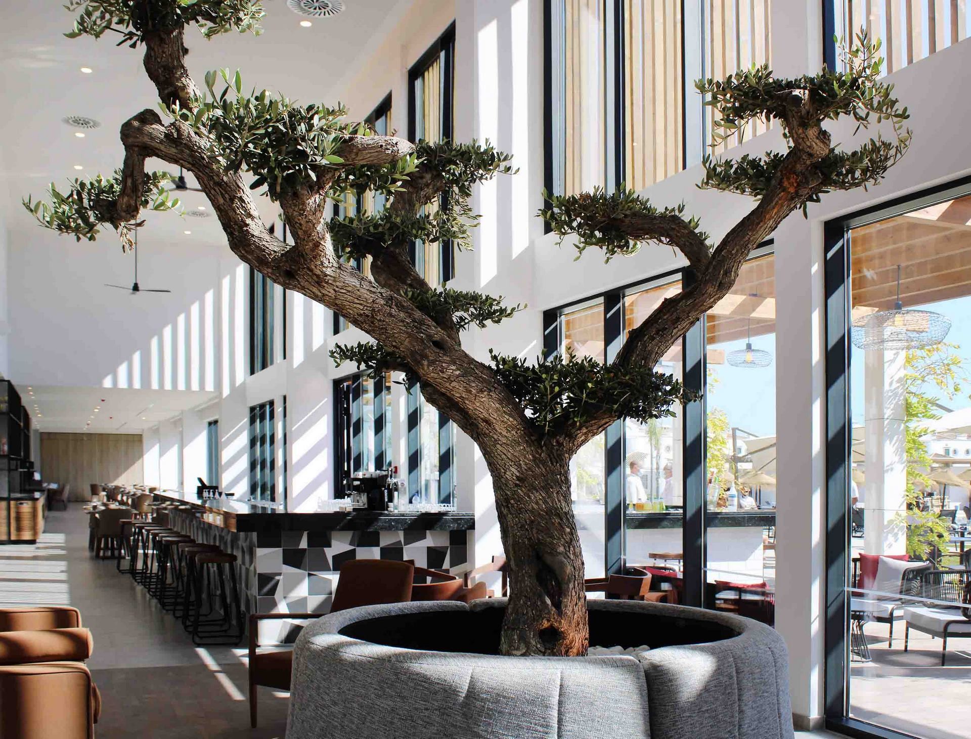 Hôtel AP Cabanas Beach & Nature Resort 4* pas cher photo 8