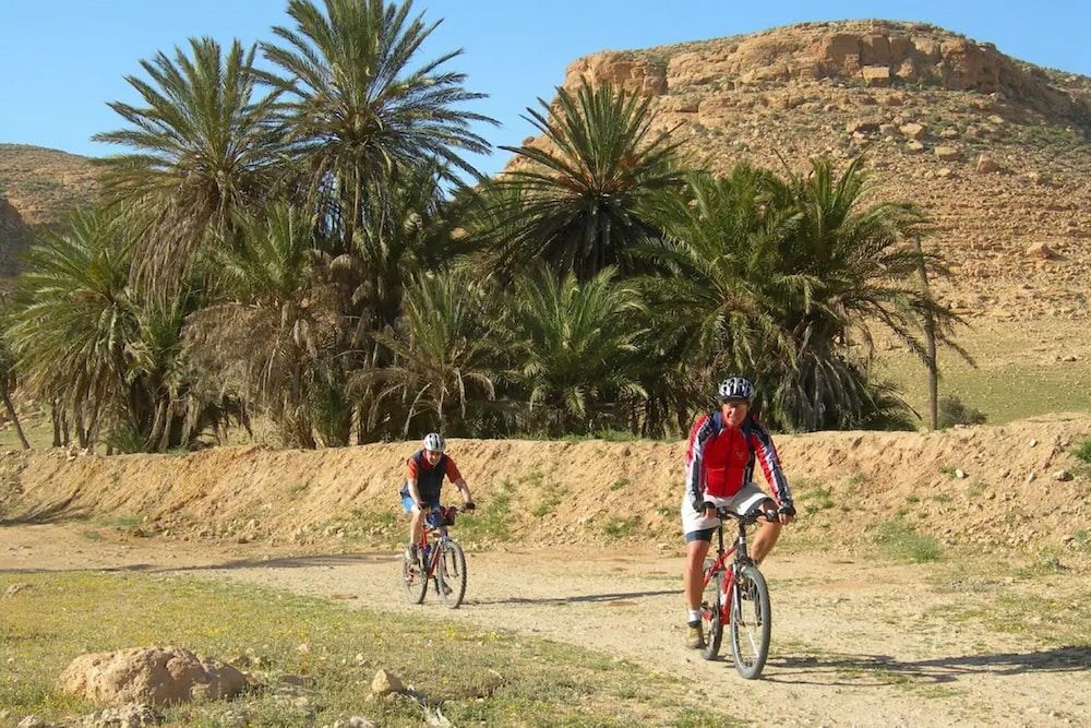 Hôtel Hasdrubal Prestige Thalassa et Spa Djerba 5* pas cher photo 39