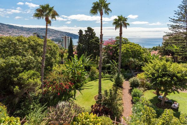 Hôtel Pestana Miramar Garden et Océan 4* pas cher