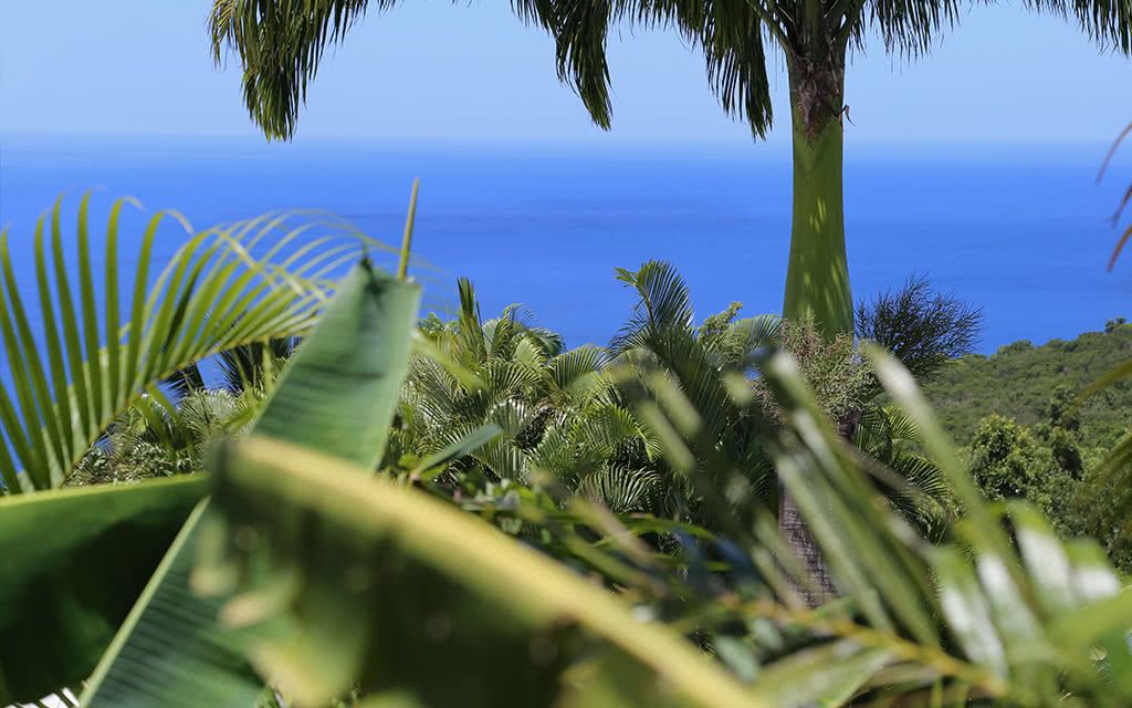 Villa Cacao pas cher photo 3