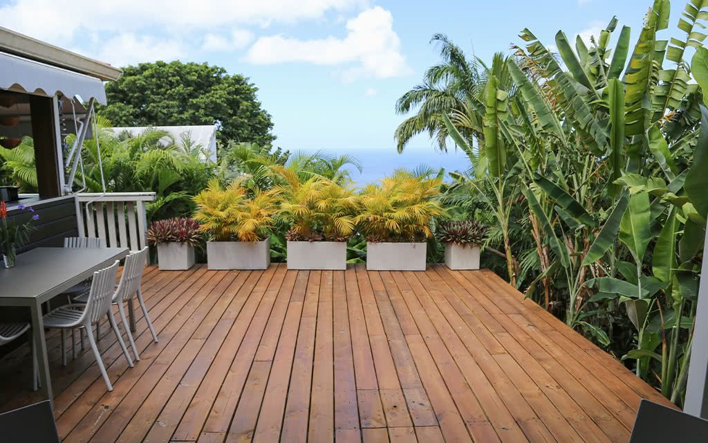 Villa Cacao pas cher photo 15