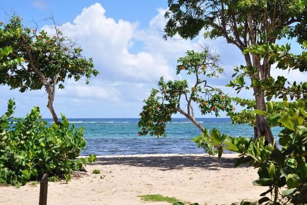 Résidence Tropicale pas cher photo 4